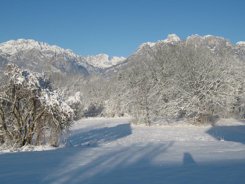 B&B Col Del Vin Belluno Kültér fotó