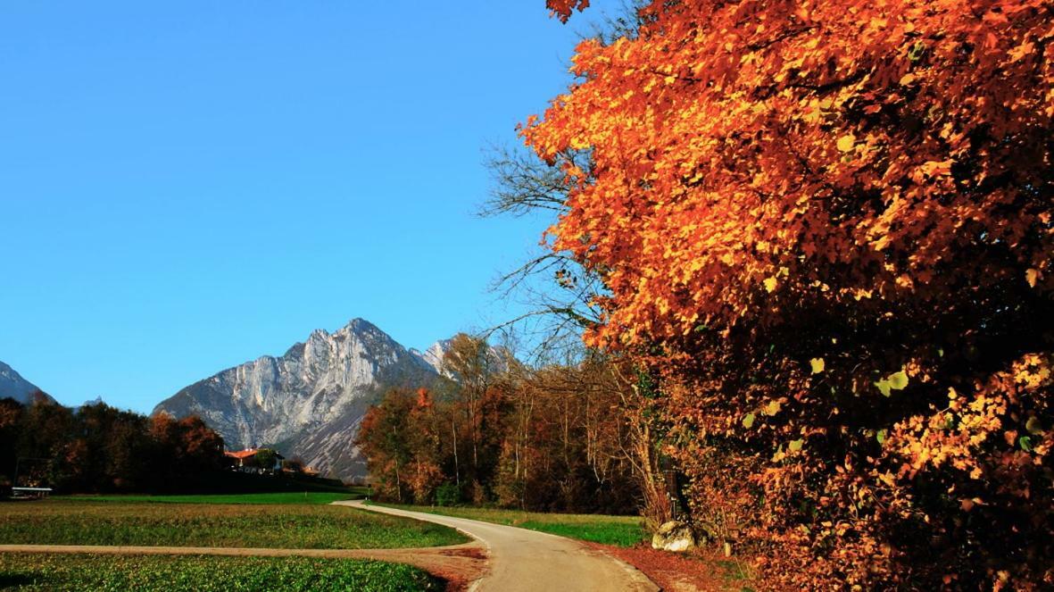 B&B Col Del Vin Belluno Kültér fotó