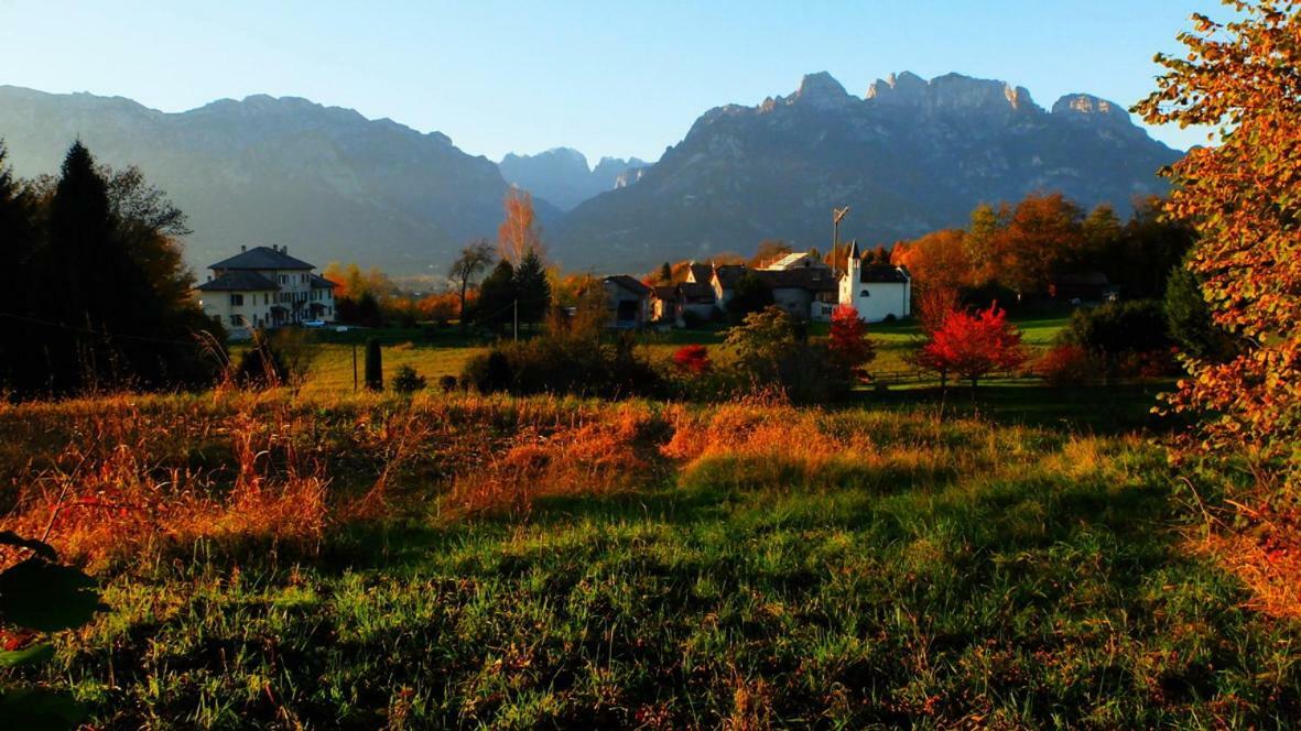 B&B Col Del Vin Belluno Kültér fotó