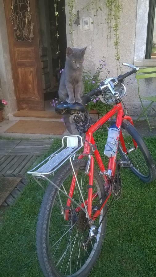 B&B Col Del Vin Belluno Kültér fotó