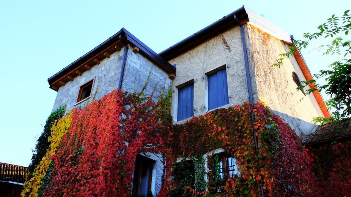 B&B Col Del Vin Belluno Kültér fotó