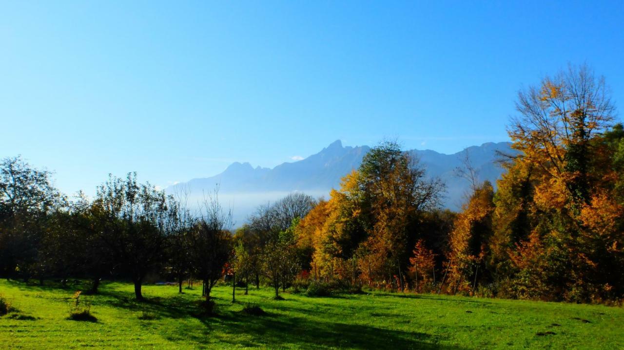 B&B Col Del Vin Belluno Kültér fotó